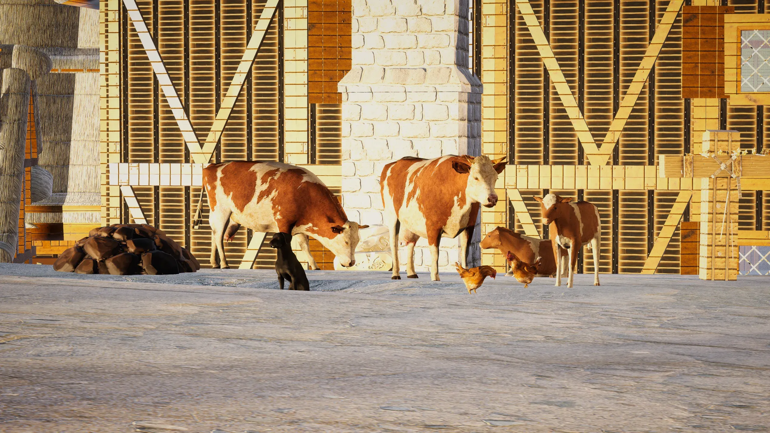 Cattle and calves beside a timber-framed barn.