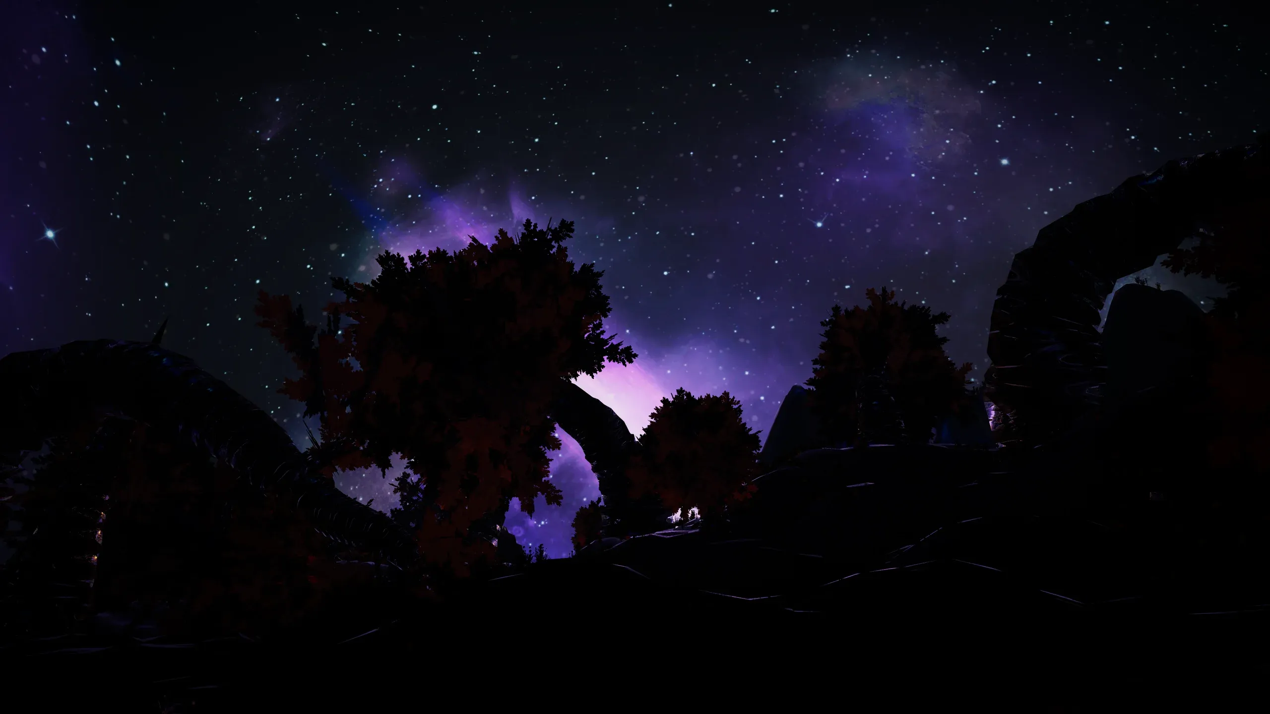 Silhouetted trees under a starry violet night sky.