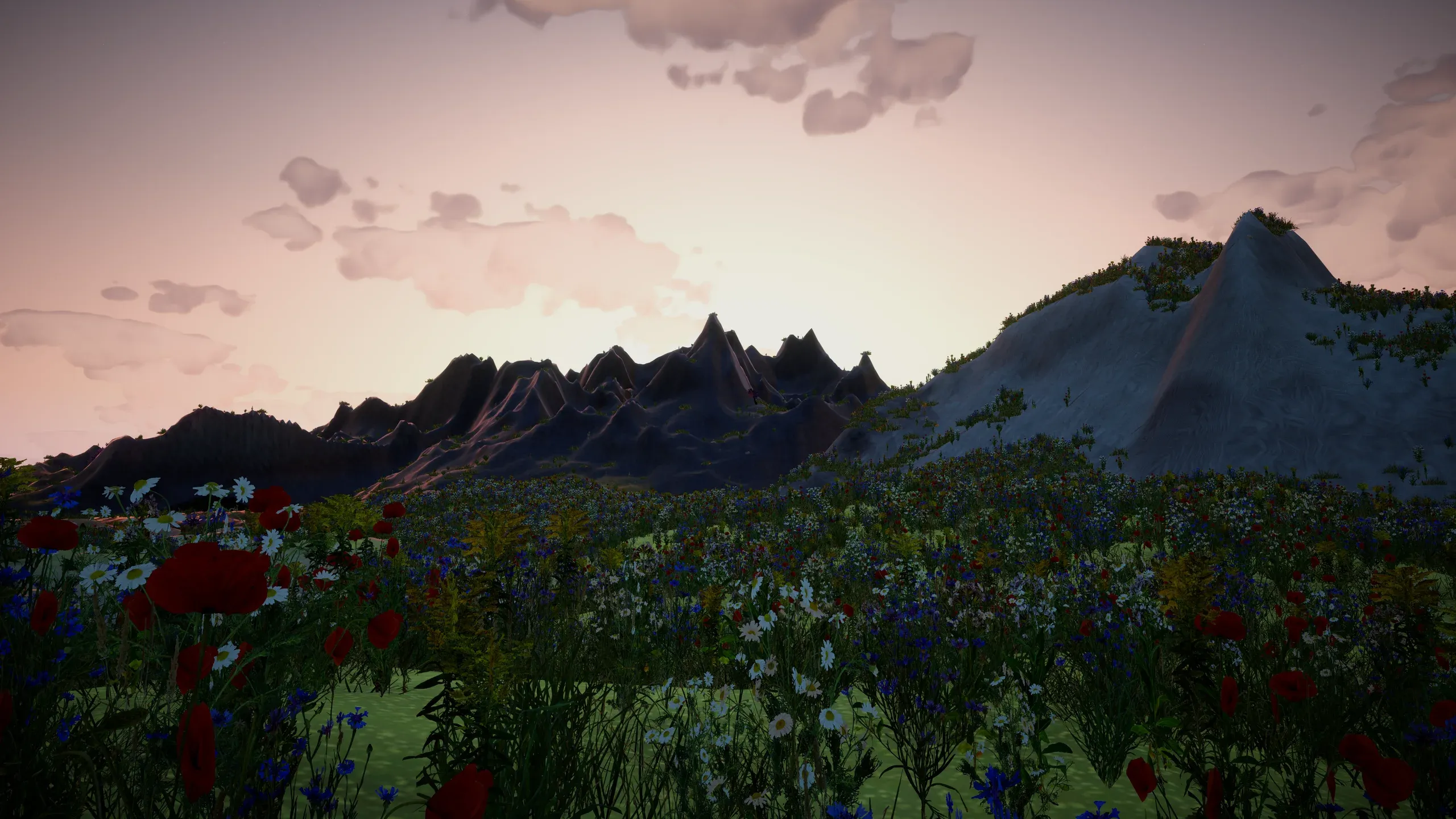 A mountain range at dusk above a field of red poppies.