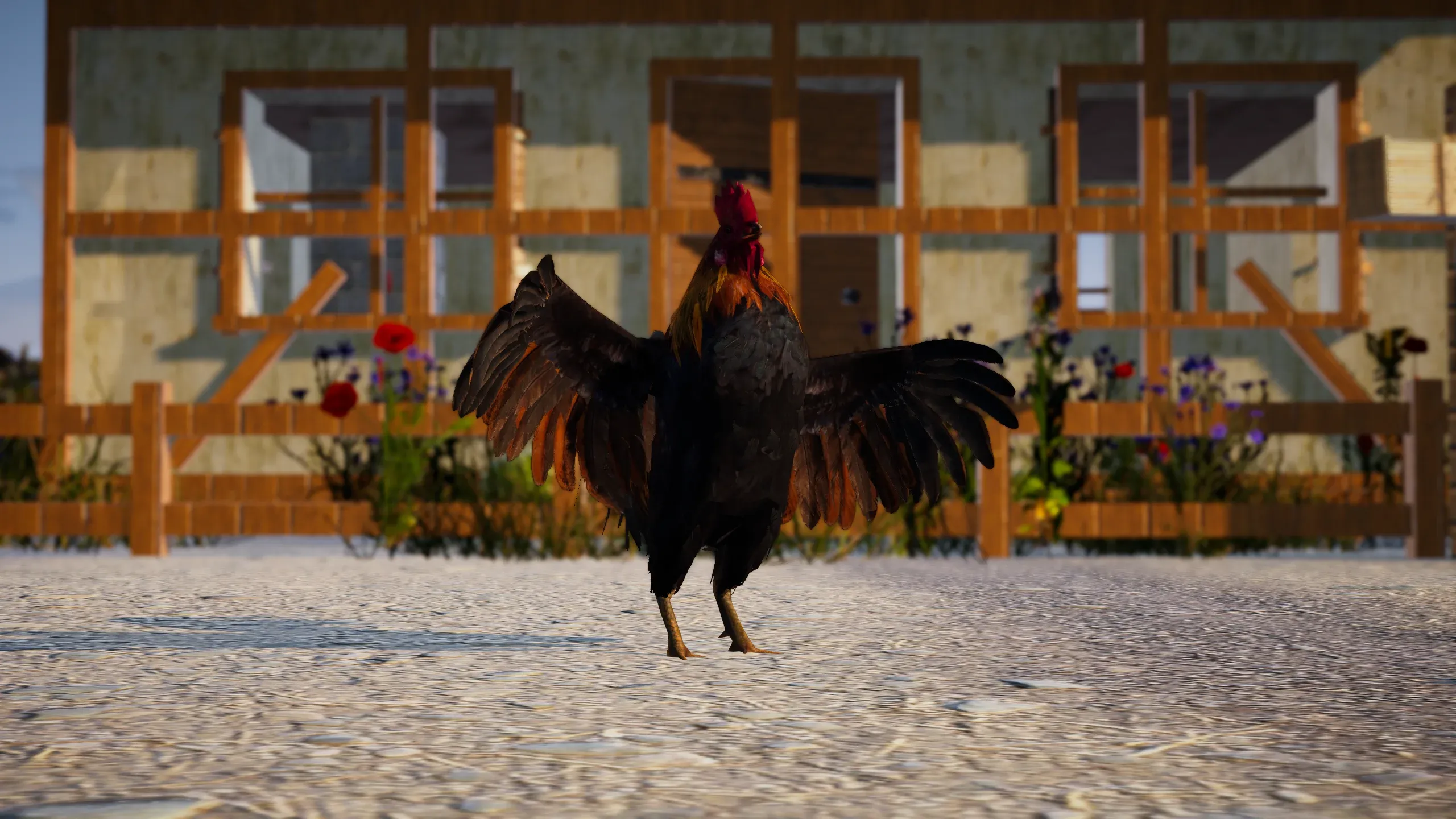 A rooster spreading its wings in front of a timber-framed house.